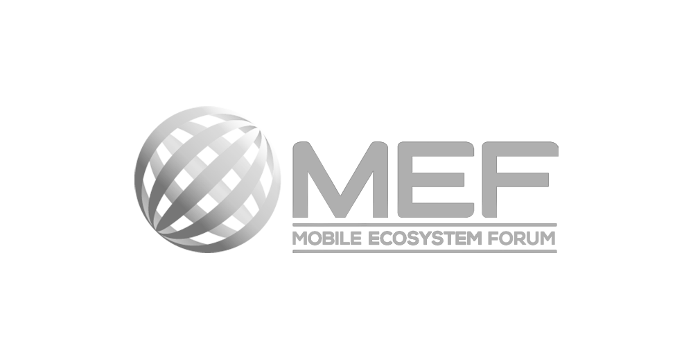 MEF_2